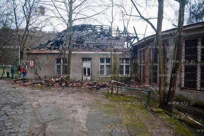 Gdansk. Oliwa. Dogaszanie i ogledziny dachu zabytkowego...