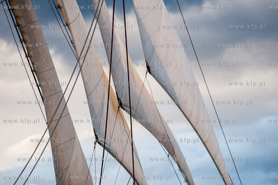 Operacja Zagle Gdyni 2014. Wielka parada jednostek...