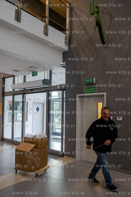 Gdansk. Uniwersytet Gdanski. Rozladunek szkieletu pletwala...