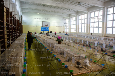 Zespol Szkol Rolniczych w Rusocinie. Wystawa Golebi...