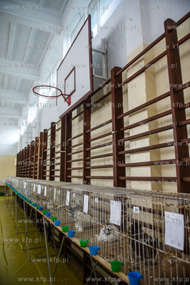 Zespol Szkol Rolniczych w Rusocinie. Wystawa Golebi...