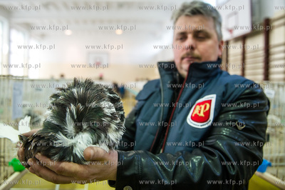 Zespol Szkol Rolniczych w Rusocinie. Wystawa Golebi...