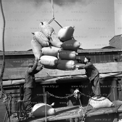 Wyładunek worków ze zbożem z wagonów w porcie gdańskim....