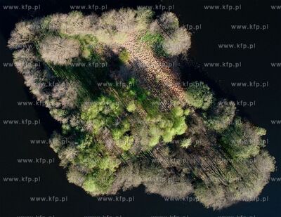 XIII Pomorski Konkurs Fotografii Prasowej Gdansk Press...