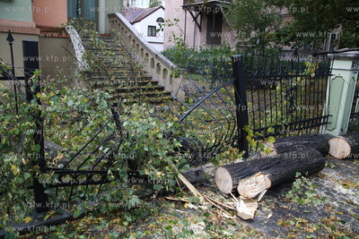 Sopot. Skutki wichury, ktora szalala w nocy w Sopocie....