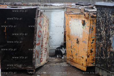 Koci problem w Stoczni Gdynia. Po zamknieciu produkcji...