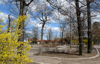 Sopot. Rewaloryzacja Parku Poludniowego im. Marii i...