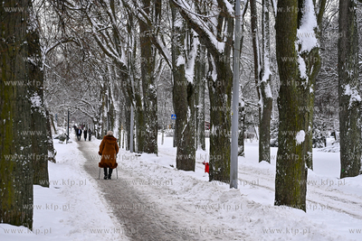 Sopot. Centrum Sopotu i Park Północny po obfitych...