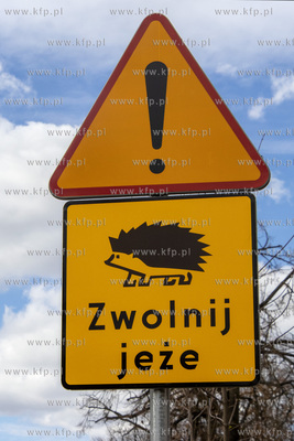 Znaki ostrzegawcze Zwolnij jeże na ulicy Mickiewicza...