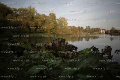 Rozlewisko Potoku Oliwskiego.
18.10.2011
fot. Krzysztof...