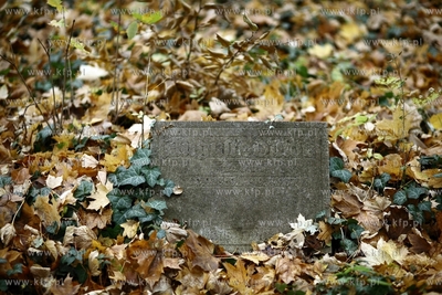 Gdansk - Wrzeszcz. Zapomniany cmentarz urnowy z poczatku...