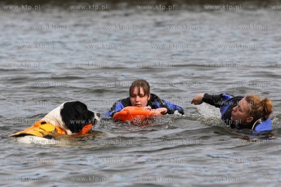 Gdańsk. Festyn z Pompą na Żabim Kruku, podczas którego...