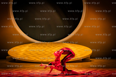 Opera Bałtycka.Balet Karnawał Zwierząt w choreografii...