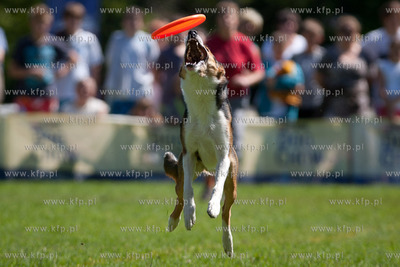 Sopot. Lazienki Polnocne. Trzecia kwalifikacja Dog...