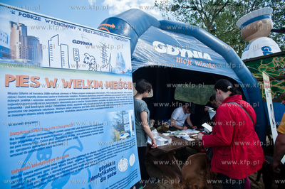 Gdynia Kolibki. Adventure Park. Festyn Edukacyjny pt....