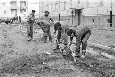 Pracownicy Przedsiębiorstwa Budowy i Konserwacji Terenów...
