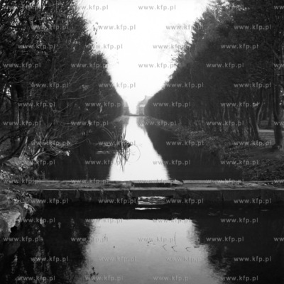 Park w Gdańsku Oliwie. 1966
0000362z
Fot. Zbigniew...