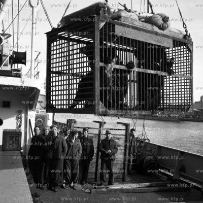 Wyładunek klatek ze zwierzętami przeznaczonymi do...