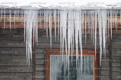 Zima w Miejskim Ogrodzie zoologicznym Wybrzeza w Gdansku...