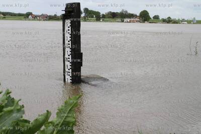 Podniesiony stan Wisly w okolicach jej ujscia do morza...