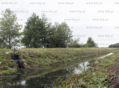 Rzeka Klodawa w okolicach Legowa i Grabiny Zameczku.
01.10.2014...