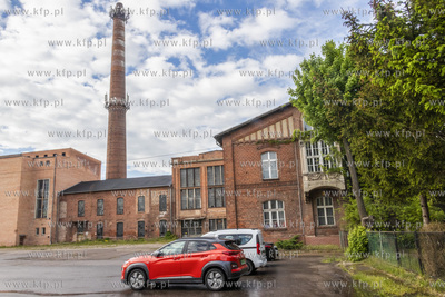 Botaniczny Pruszcz. Spacer badawczy śladem roślin...