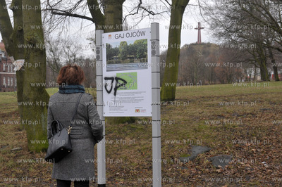 Gaj Ojców w Gdańsku na skwerze między Błędnikiem,...