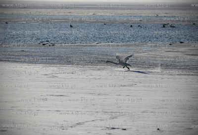 Kuznica.
14.01.2010
fot. Krzysztof Mystkowski / KFP