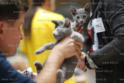 Sopot. Hala 100-lecia Sopotu. Miedzynarodowa Wystawa...