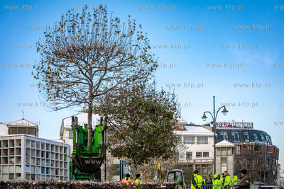 Rewitalizacja Placu Przyjacół Sopotu. Sadzenie drzew.
21.11.2022
fot....