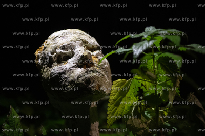 16. edycja festiwalnu Narracje. Tegoroczna edycja festiwalu...