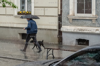 Wiosenny deszcz w Gdańsku Wrzeszczu, ul. Wajdeloty....