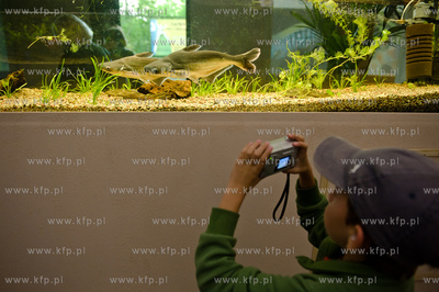 Sopot. Budynek dawnego klubu nocnego Enzym. Nowo otwarte...