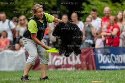 Sopot. Łazienki Połnocne. Zawody Latających Psów.
Nz...