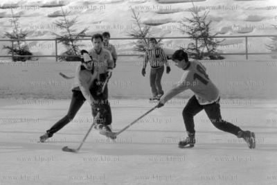 Turniej hokejowy na odkrytym lodowisko Olivii w Gdańsku...
