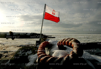 Szczecin. Wspolna akcja polskich ( Dzik, Lis, Swistak...