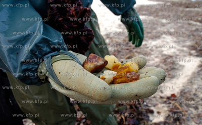 Ustka
W Ustce rozpoczal sie sezon polawiania bursztynu....