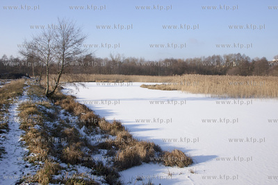 Poglebianie terenow bagiennych pomiedzy Kanalem Raduni...