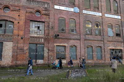 Botaniczny Pruszcz. Spacer badawczy śladem roślin...