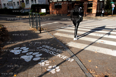 Akcja "Bezpieczeństwo z Lwem Pruszkiem na przejściach...