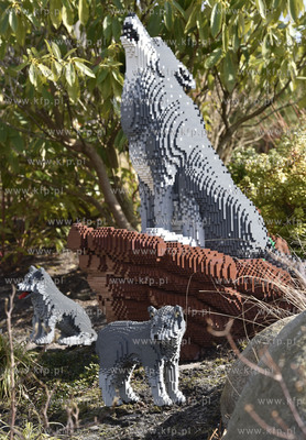 Legoland w Billund, Dania. Wilczyca z małymi z klocków...