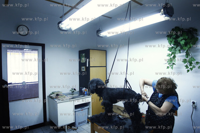 Gdansk Zaspa. Zaklad strzyzenia psow.
05.05.2009
fot....