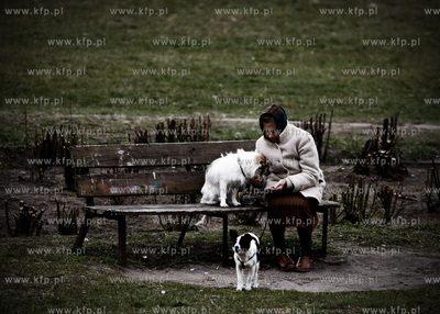 Gdansk Zaspa. Park przy ul. Dywizjonu 303.
23.04.2010
fot....