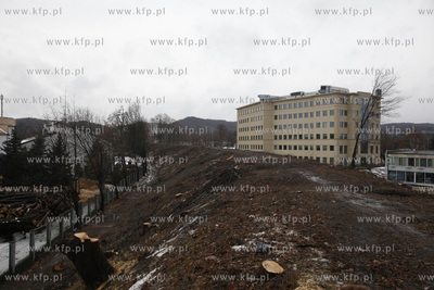 Wycinka drzew pod budowe trasy Pomorskiej Kolei Metropolitalnej...