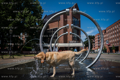 Gdańsk. Fontanna Heweliusza. Upalne lato w mieście....