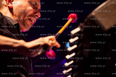 Sulęczyno. Jazz w lesie 2015. Nz. Dominik Bukowski....