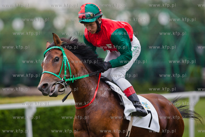 Wyscigi konne na sopockim hipodromie.
13.07.2013
fot....