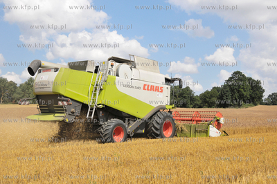 Zniwa w okolicy Pelplina
07.08.2009
fot. Krzysztof...