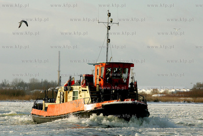 Szczecin. Wspolna akcja polskich ( Dzik, Lis, Zbik,...