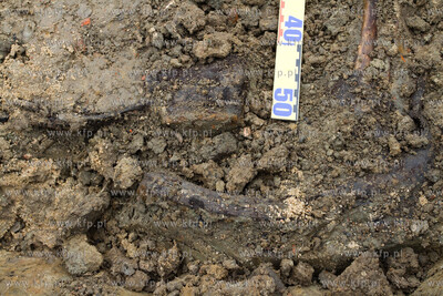 Gdansk. Rebiechowo. Szczatki niemieckiego zolnierza...